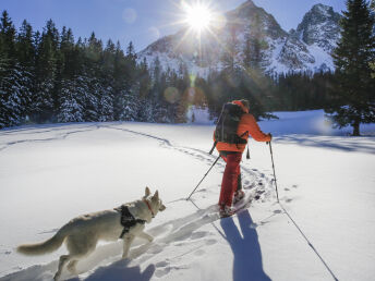 Eine ganze Woche in den Bergen - 7 Nächte mit Hund in Hohentauern