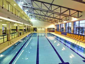 Relax-Aufenthalt in Sárvár mit Botanischem Garten & Halbpension | 2 Nächte