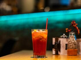 Relax-Aufenthalt in Sárvár mit Botanischem Garten & Halbpension | 2 Nächte