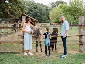 Relax-Aufenthalt in Sárvár mit Botanischem Garten & Halbpension | 2 Nächte