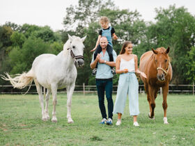 Relax-Aufenthalt in Sárvár mit Botanischem Garten & Halbpension | 2 Nächte