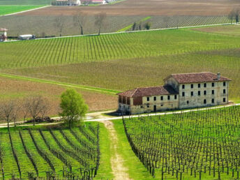 Kulinarikreise durch Venetien - Pieve di Soligo entdecken | 3 Nächte