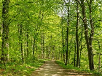 2 Tage Kurzurlaub in Eutin, umgeben von zahlreichen Seen  