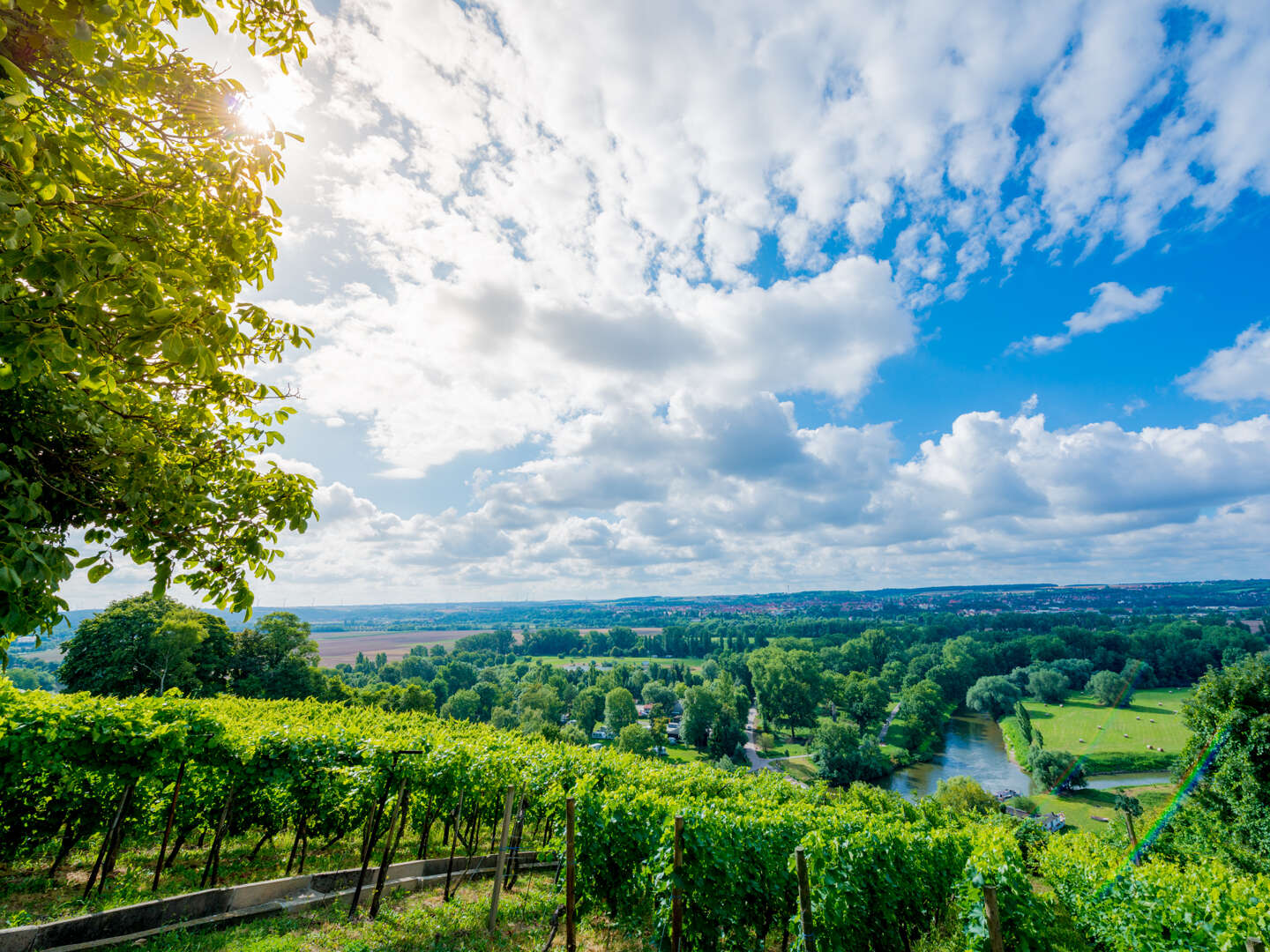 3 Tage - Auszeit vom Alltag in den Weinbergen - Saale Unstrut 