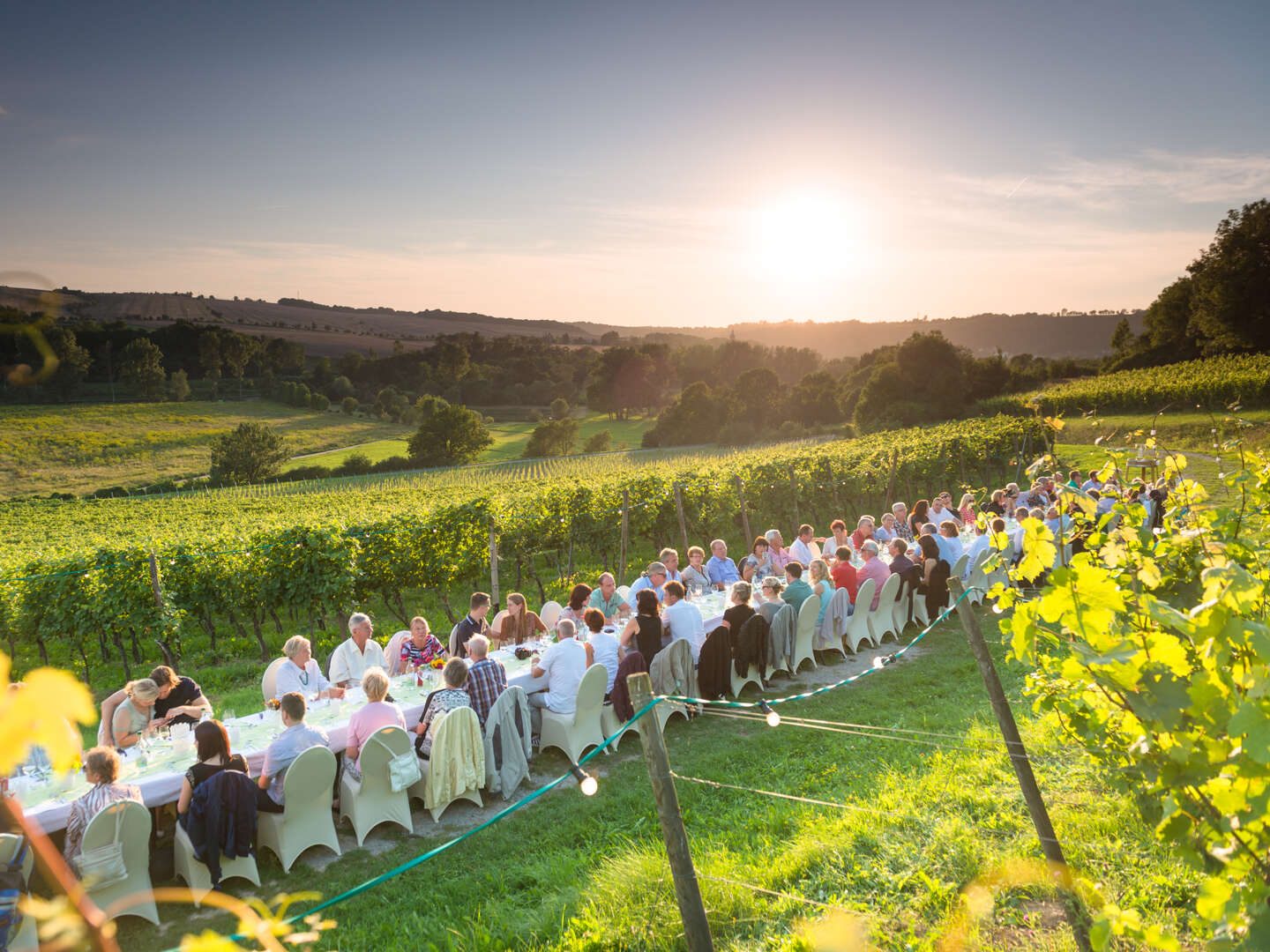 4 Tage - Auszeit vom Alltag in den Weinbergen - Saale Unstrut 