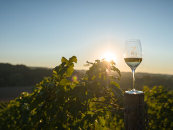 3 Tage - Auszeit vom Alltag in den Weinbergen - Saale Unstrut 