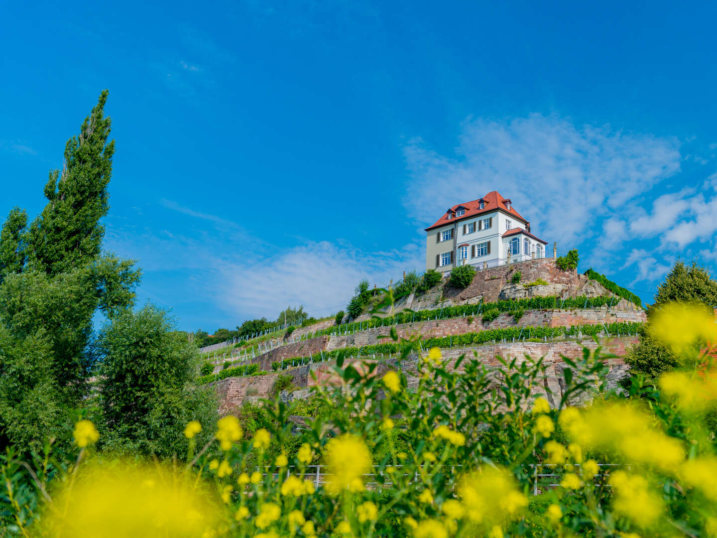 3 Tage - Auszeit vom Alltag in den Weinbergen - Saale Unstrut 