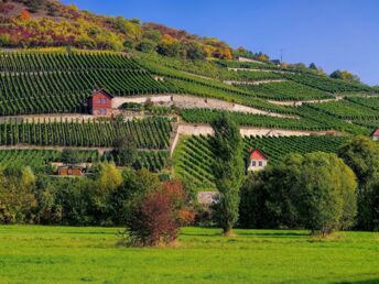 5 Tage - Auszeit vom Alltag in den Weinbergen - Saale Unstrut 