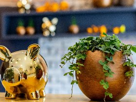 6 Tage Kurzurlaub - Auszeit vom Alltag  mit 5 Übernachtungen