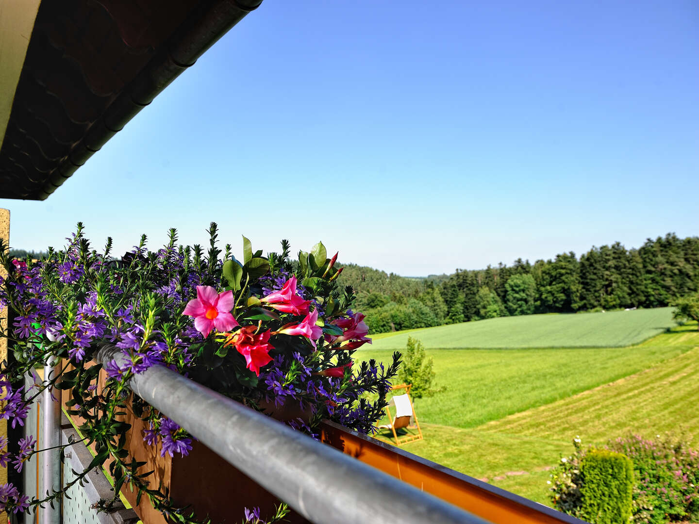 Über den Bäumen - 3 Tage Abenteuer mit Baumwipfelpfad