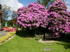 Kurzurlaub in Bad Flinsberg | 2ÜHP