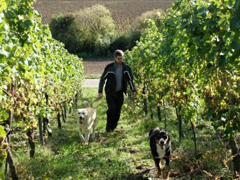 4 Tage Kurzurlaub - Auszeit auf dem Weingut mit Picknick im Himmelreich