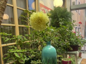 Romantik im Mausoleum - der Gruft der Sinnlichkeit | 1 Nacht 