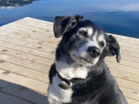 Romantik im Mausoleum - der Gruft der Sinnlichkeit | 1 Nacht 