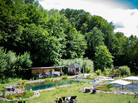 Genuss im Retreat in der Steiermark inkl. veganen 3-Gang-Dinner | 1 Nacht 