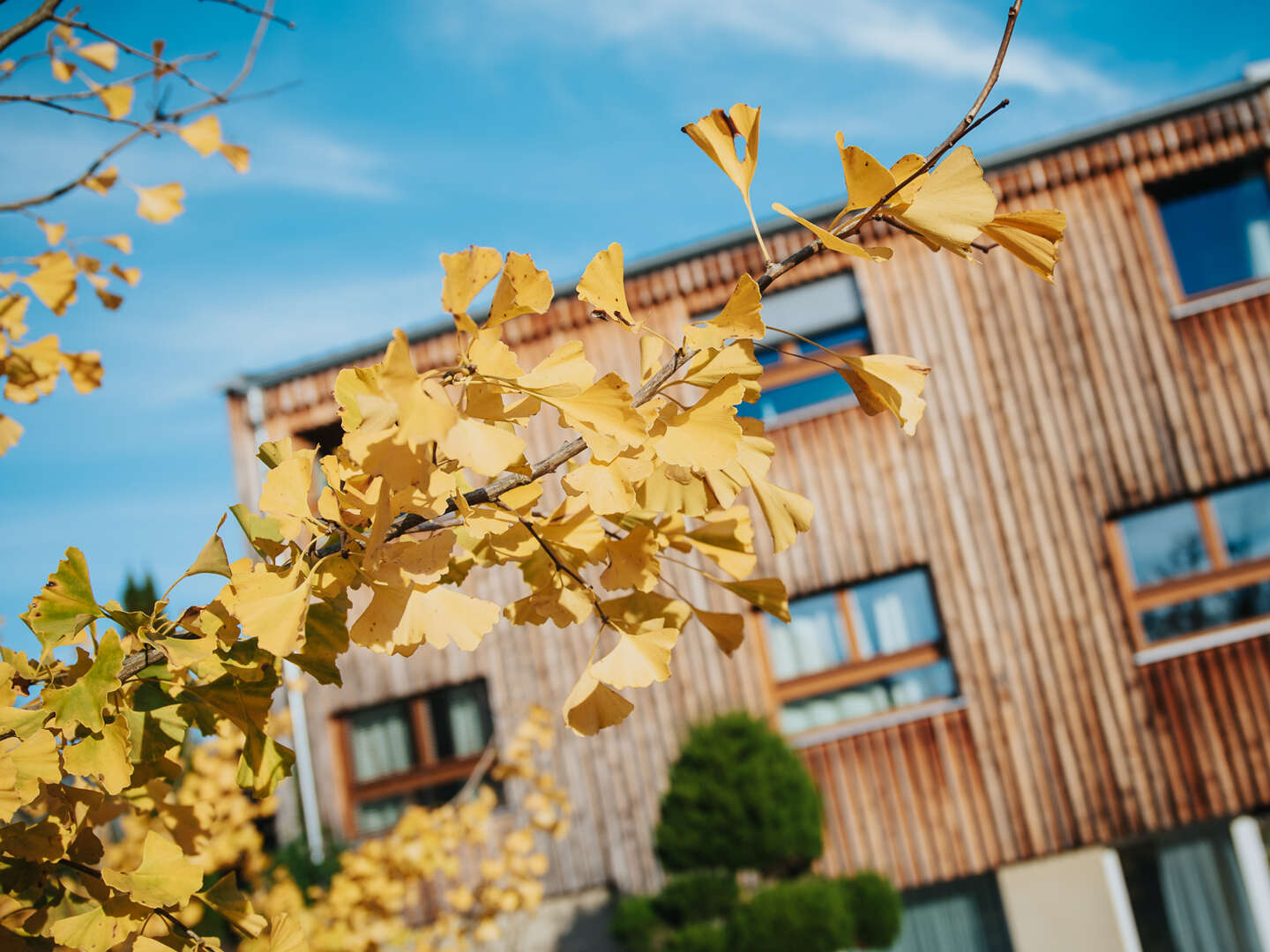 ZEN: Fasten - Schweigen - Meditieren im Retreat in der Steiermark | 9 Nächte