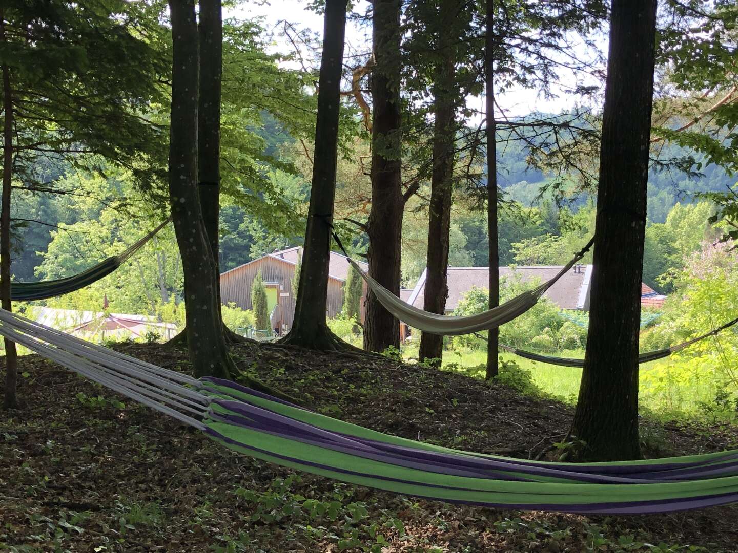 Erholungsurlaub mit Fasten in der herbstlichen Steiermark | 7 Nächte