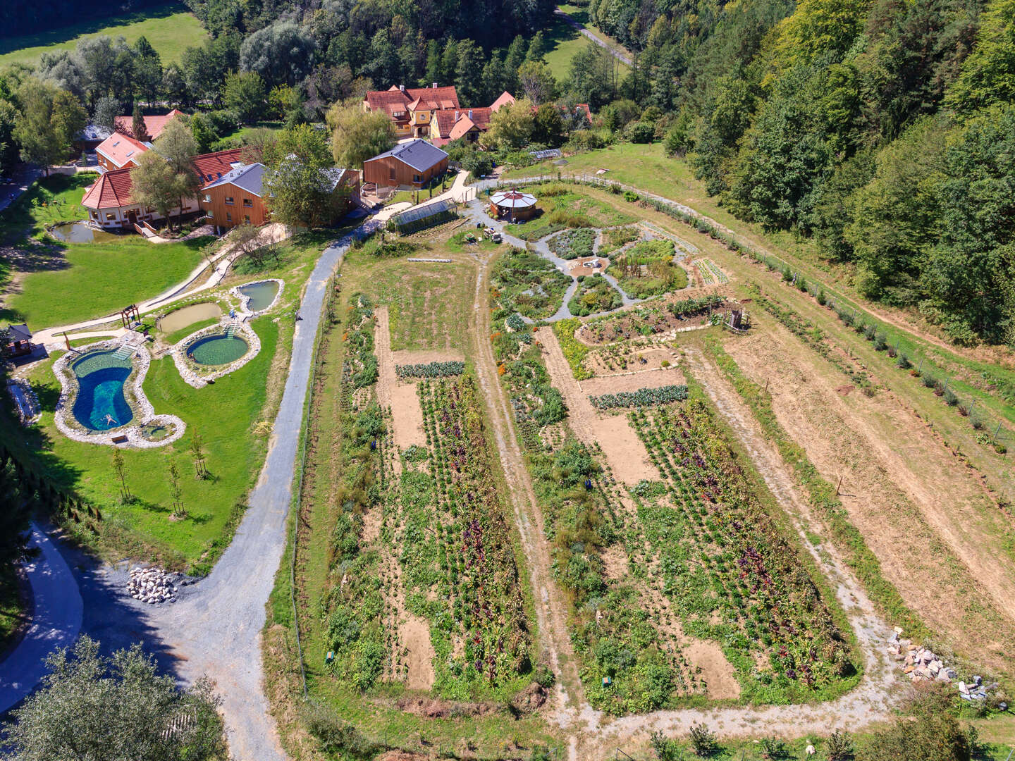 Erholungsurlaub mit Fasten in der herbstlichen Steiermark | 7 Nächte