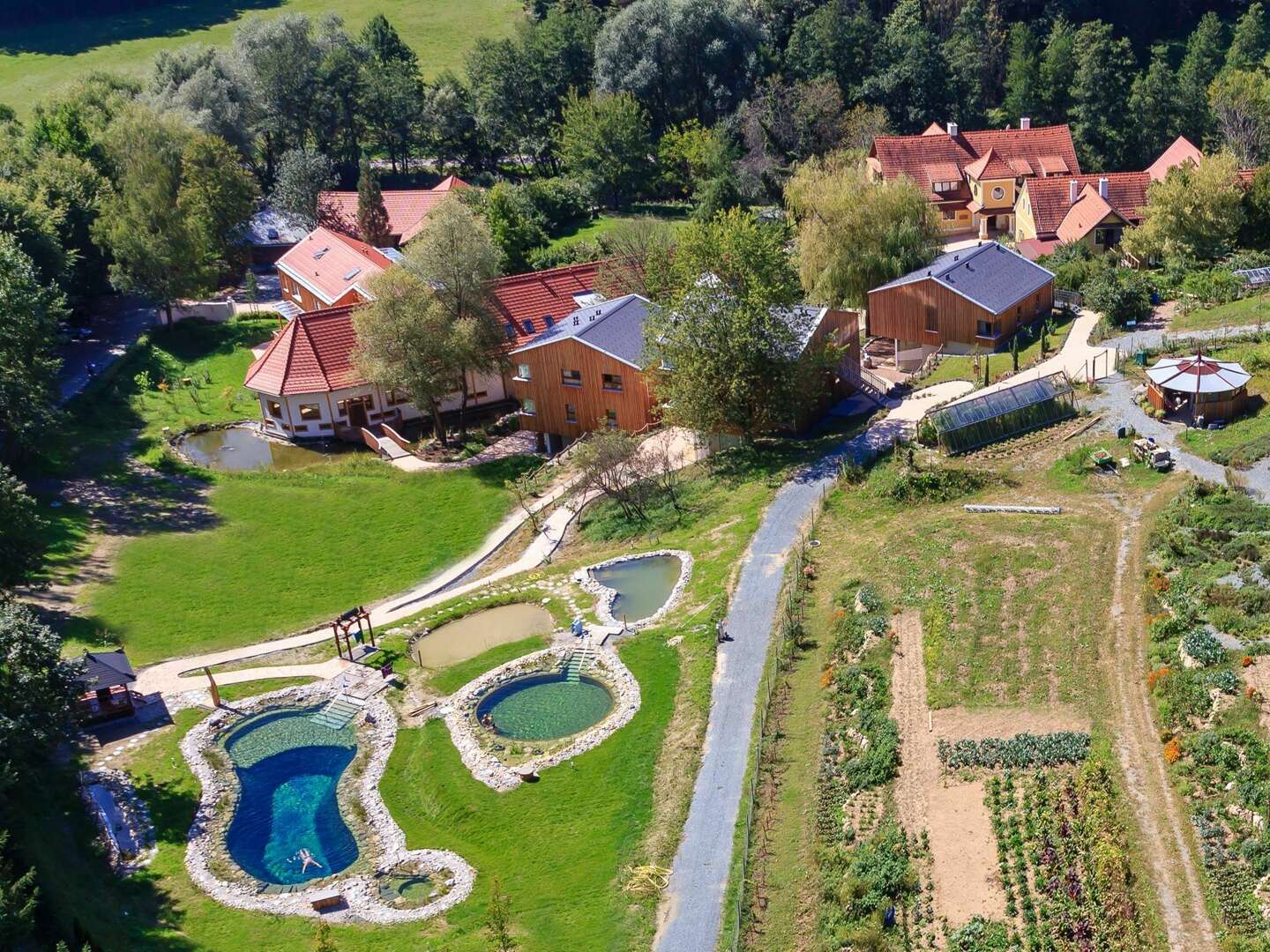 Fasten mit Wandern & Wein in der herbstlichen Südsteiermark| 6 Nächte