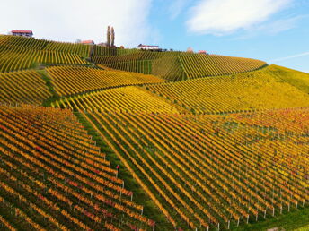 Fasten mit Wandern & Wein in der herbstlichen Südsteiermark| 6 Nächte