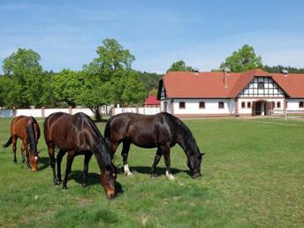 Urlaub in Landgut Wiejce | 2ÜF + 1 Abendessen