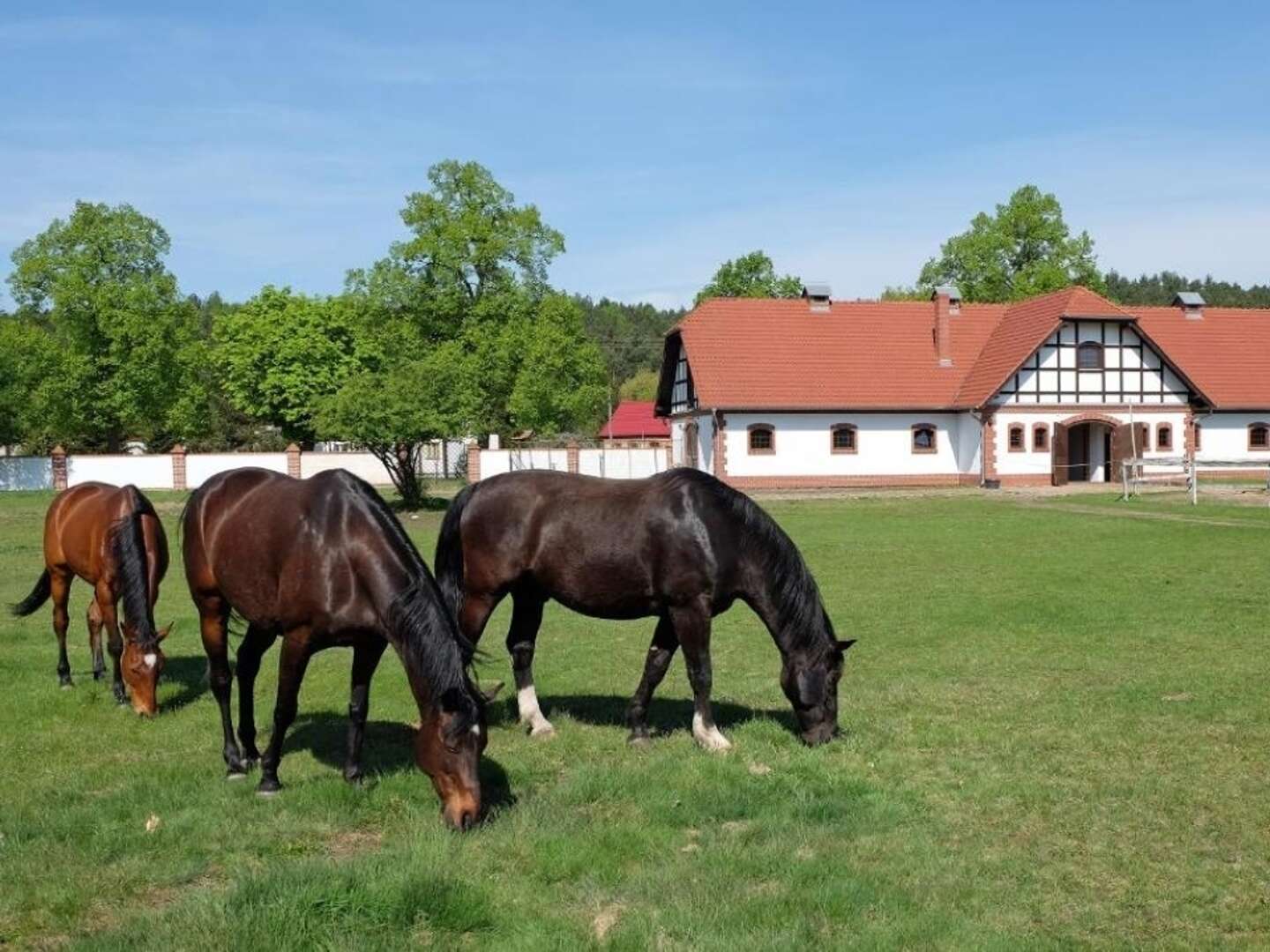 Urlaub in Landgut Wiejce | 3ÜF + 1 Abendessen 