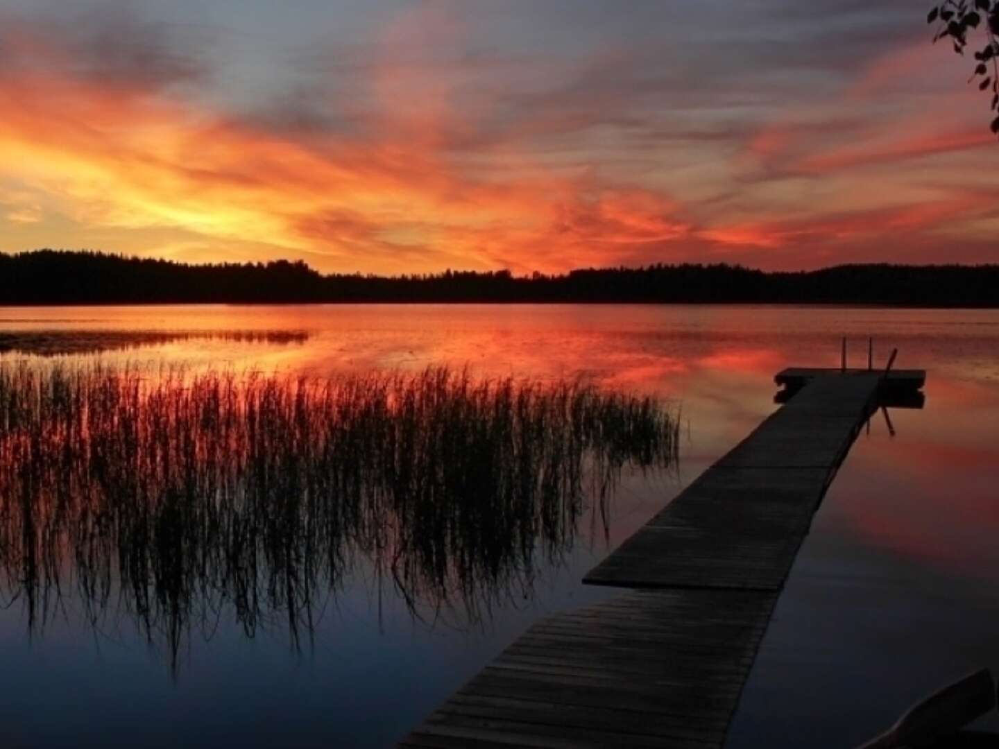 Urlaub in Landgut Wiejce | 4ÜHP  