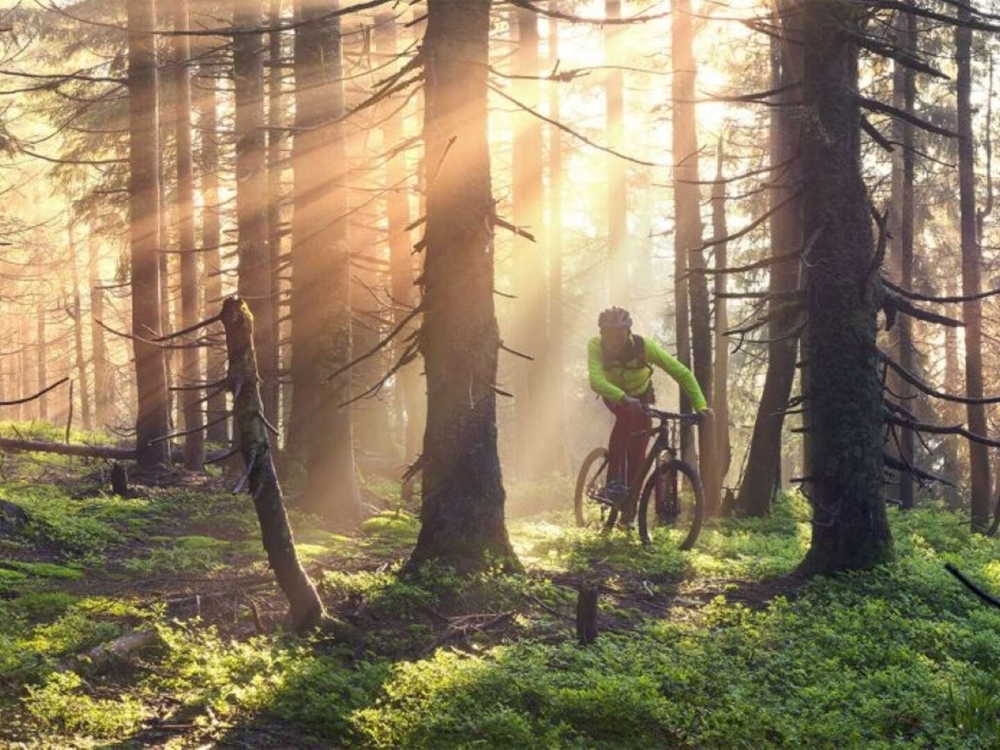 Urlaub in Landgut Wiejce | 2ÜF + 1 Abendessen