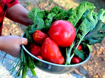 Urlaub in Landgut Wiejce | 2ÜF + 1 Abendessen