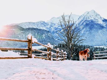 Kurzurlaub mit einzigartigem Panoramablick I 4 Nächte