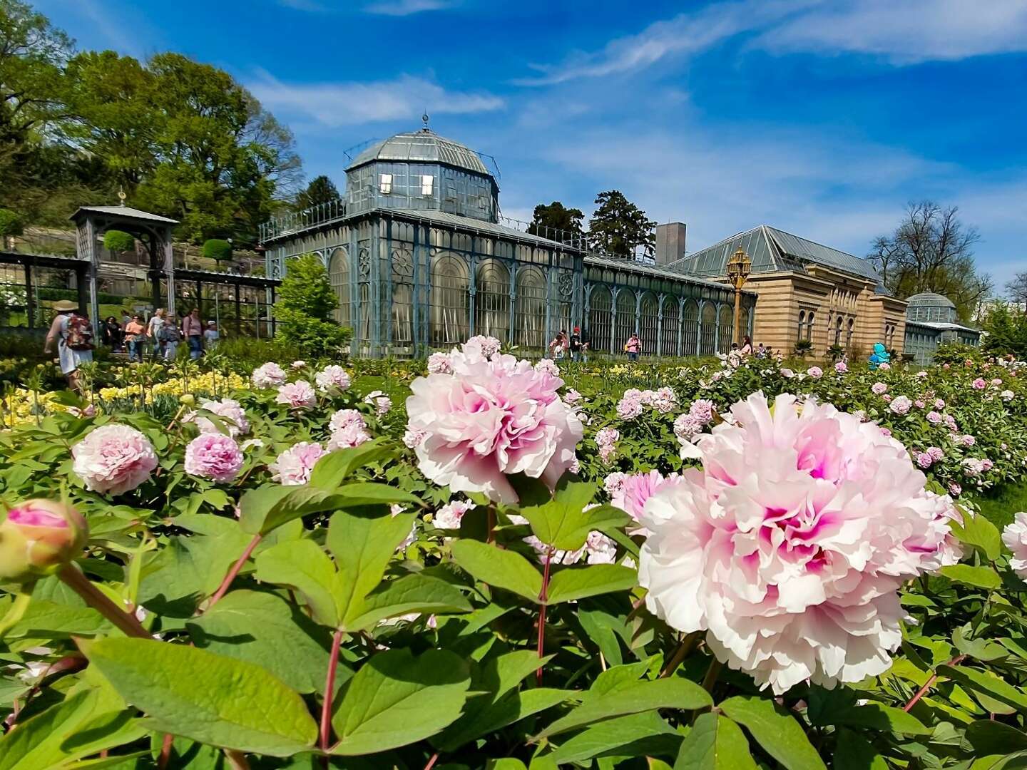 Wilhelma Stuttgart – Besuchen Sie den einzigen Zoologischen-Botanischen Garten in Deutschland!