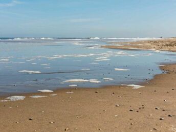 Kurzurlaub am Meer in Noordwijk - 6 Tage   