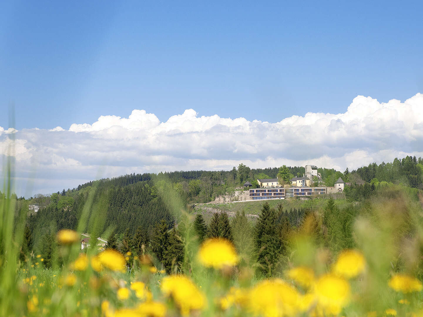 Kurzurlaub zu Hl. Dreikönig auf der Burg Kreuzen