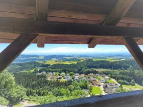 Lazy Sunday | Kurze Auszeit vom Alltag