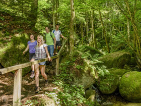 Lazy Sunday | Kurze Auszeit vom Alltag