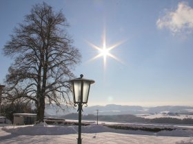 Winter-Wohlfühltage auf Burg Kreuzen | Entspannen inmitten der Natur