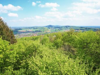 5 Tage Kurzurlaub nahe des Teutoburger Walds 