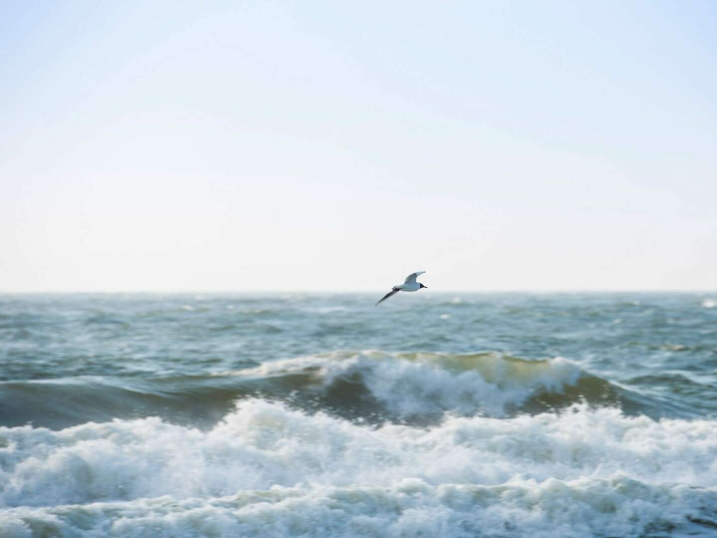 Ihre Wohlfühltage auf Sylt inkl. Wellness