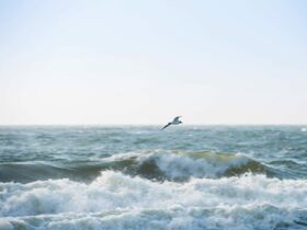 Zeit zu zweit auf Sylt – 3 Tage Entspannung & Wellness