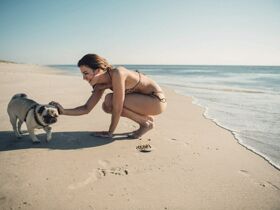 Zeit zu zweit auf Sylt – 3 Tage Entspannung & Wellness