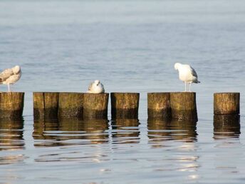 Die Seele baumeln lassen in Kühlungsborn 