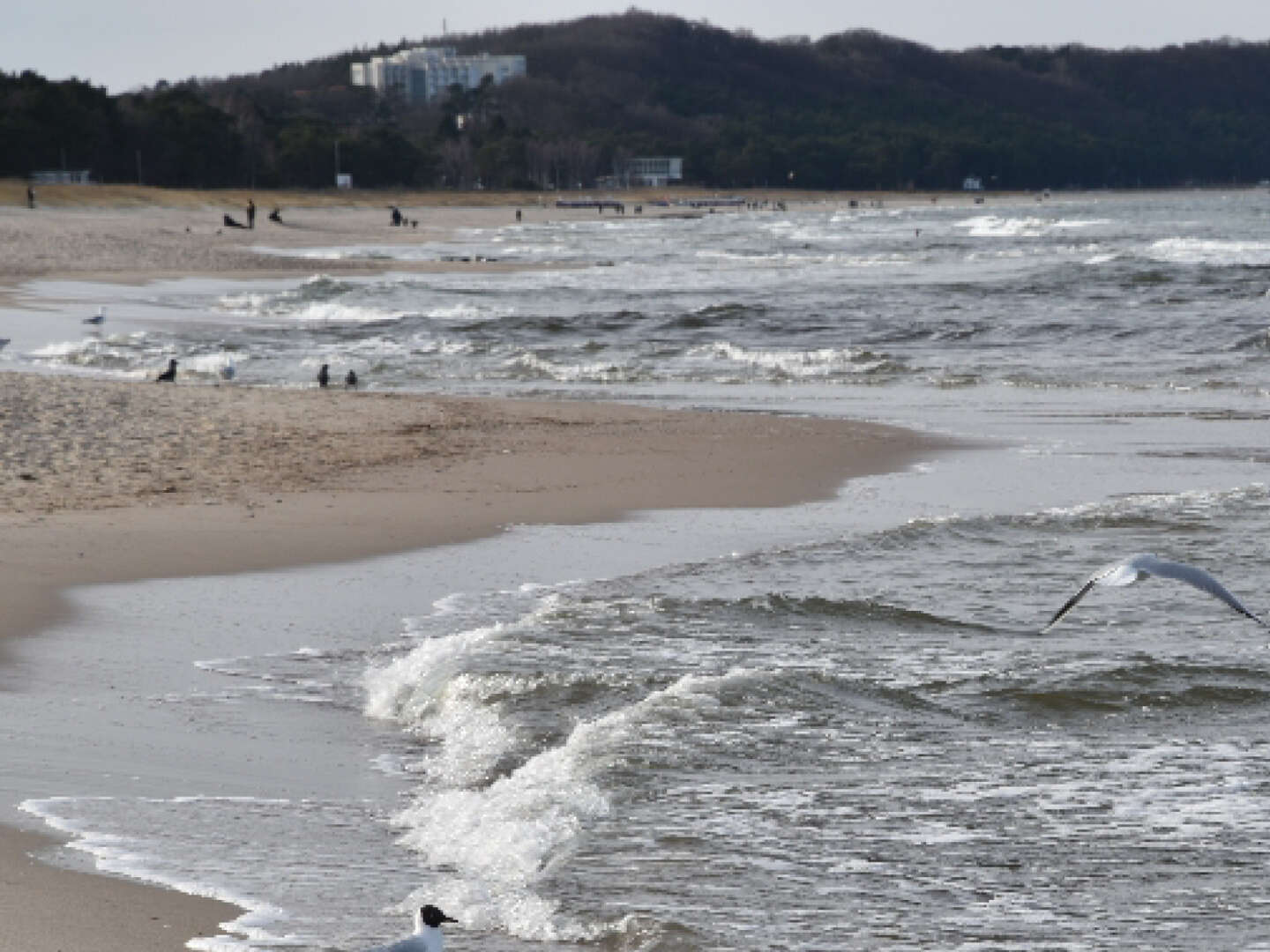 Weihnachten an der Ostsee