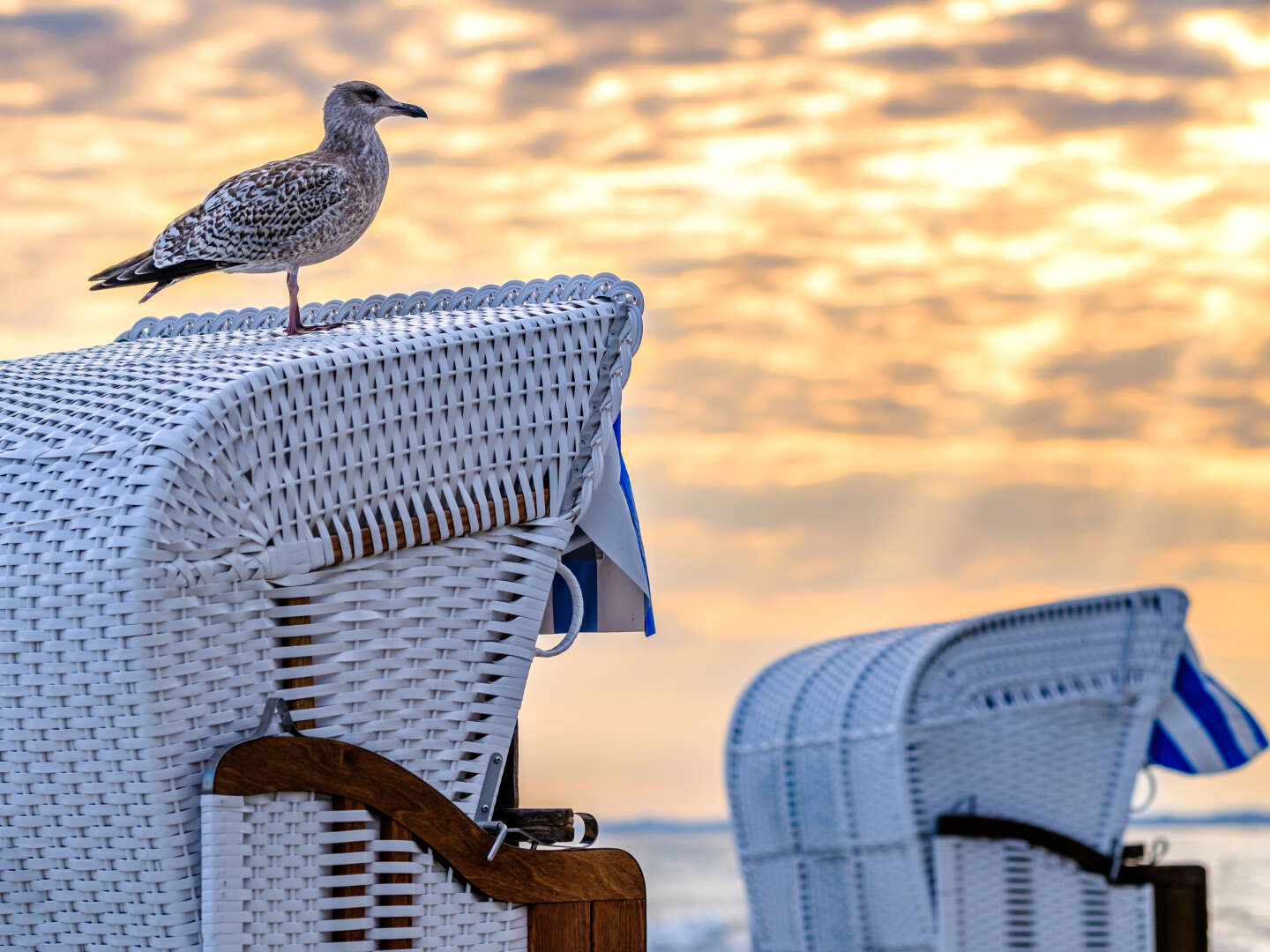 Weihnachten an der Ostsee