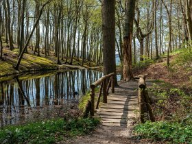 Pfingsten auf der Insel Rügen