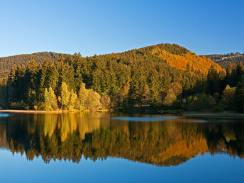 Meerjungfrau  Schwimmerlebnis im Harz