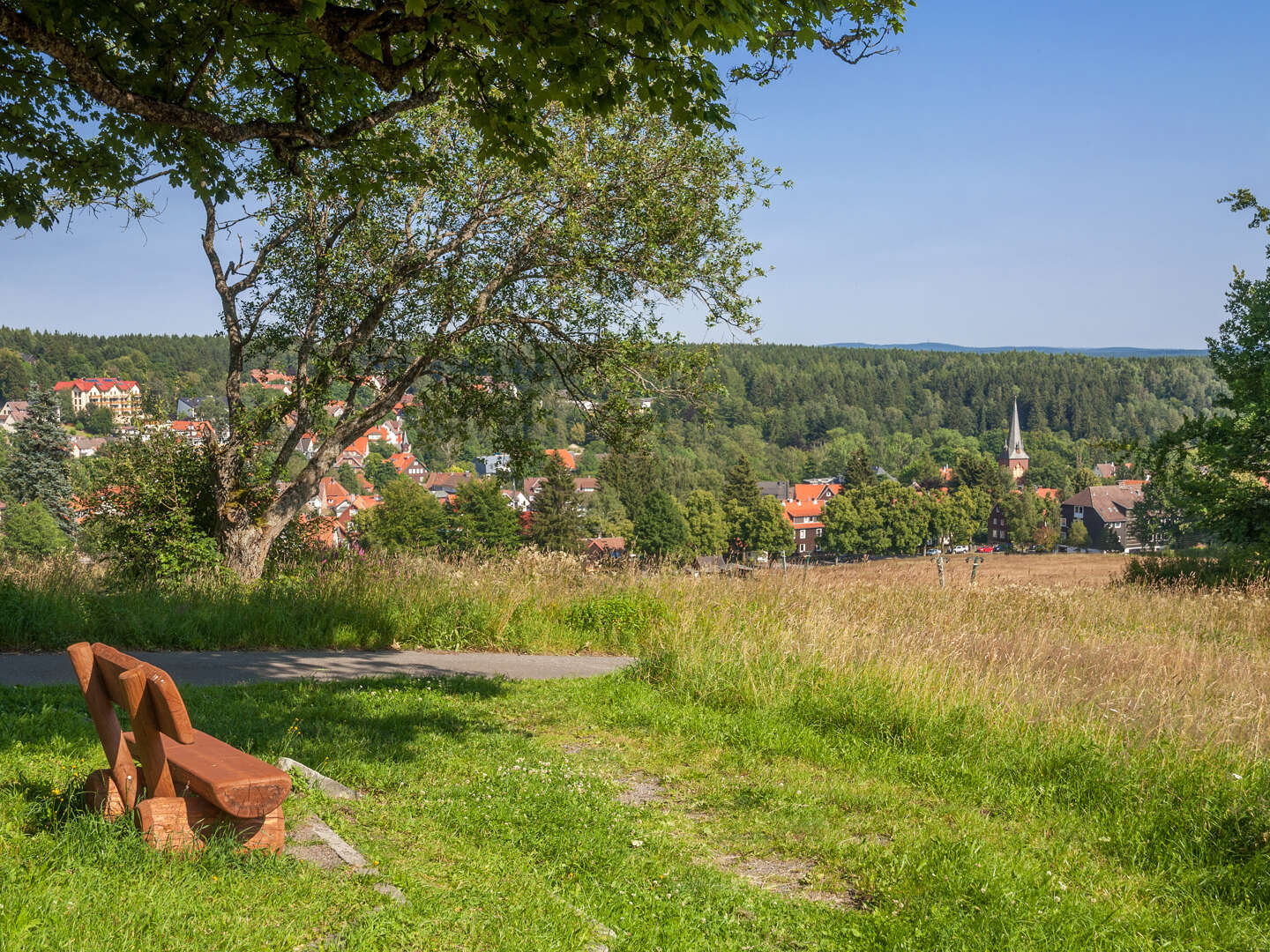 Meerjungfrau  Schwimmerlebnis im Harz