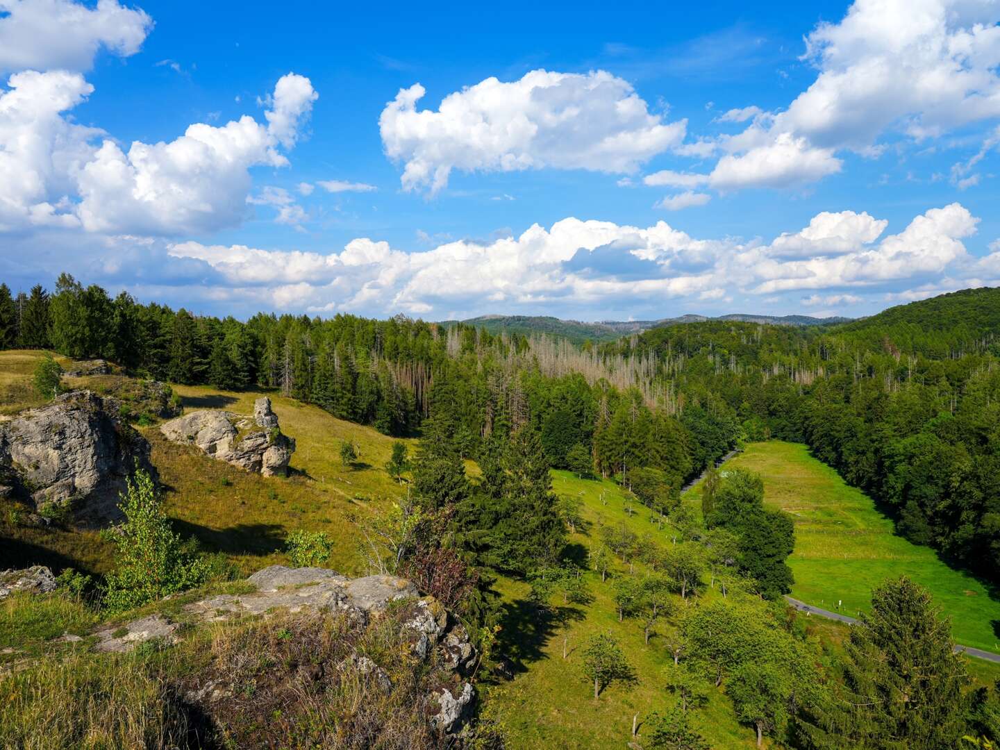 Meerjungfrau  Schwimmerlebnis im Harz