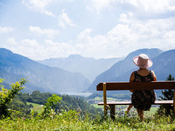 Urlaub mit Hund inkl. Halbpension bei Hallstatt | keinen Aufschlag! | 3 Nächte