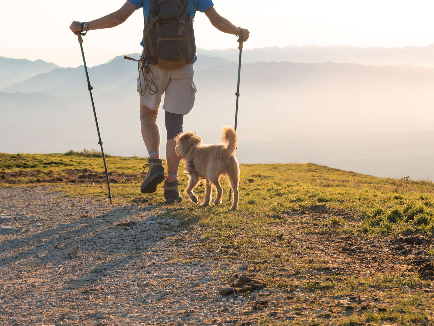 Urlaub mit Hund inkl. Halbpension bei Hallstatt | keinen Aufschlag! | 3 Nächte