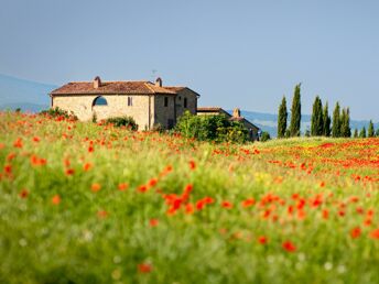 Genießerurlaub in der romantischen Toskana | 2 Nächte